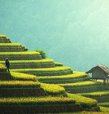 現代農業(yè)開發(fā)